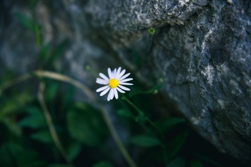 3099C81E-3135-40CC-AE36-030F247425AD/L0/001