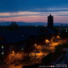IMG_7707S2_20100427
