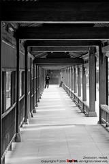 IMG_7407S2_20100403
