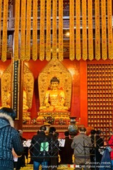 IMG_7366S_20100403