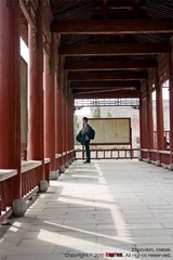 IMG_7380S_20100403