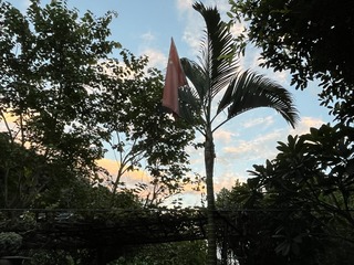 58697150-4D41-49A6-AC87-859FEA727B3D/L0/001