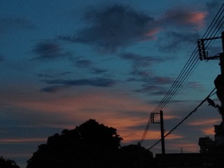 2030610
