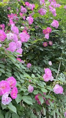 3BD5C074-9090-4699-9F30-D150CA36A935/L0/001