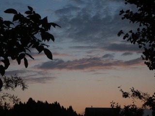 45066B6C-C26E-4B34-B03D-37043E9C8122/L0/001