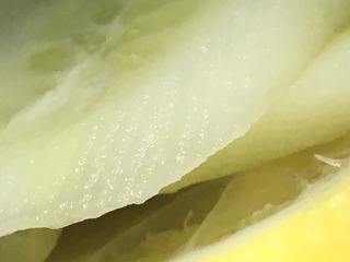 DBDD8FD5-7A64-426D-AA82-E04EFB976EA0/L0/001
