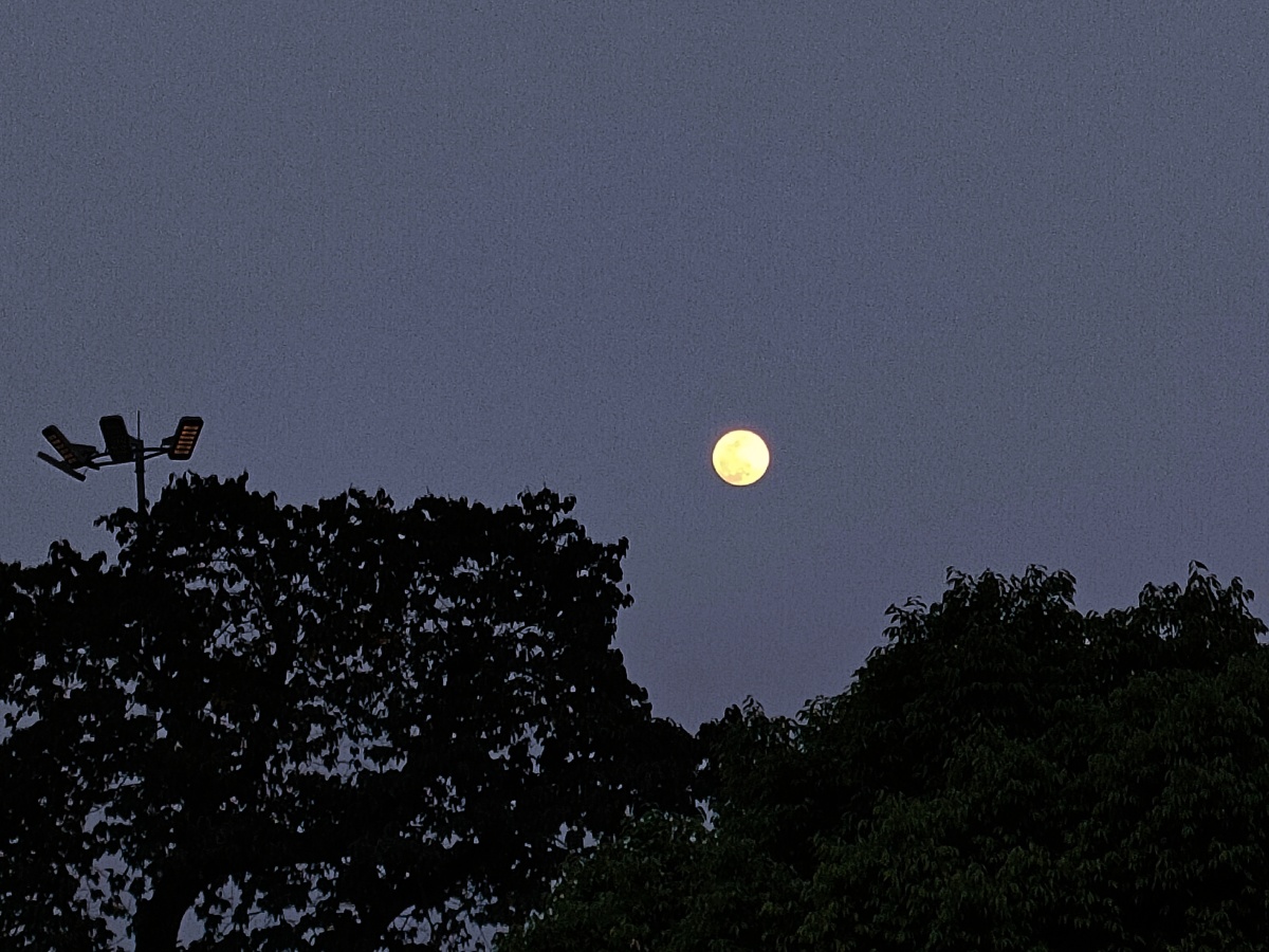 4月27日                 · 阅读1242                关注