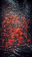 1043705