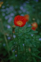 C50FE8D9-1500-4A77-AC51-85403F43EF64/L0/001