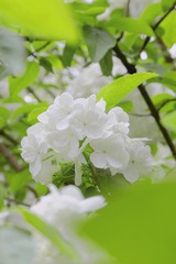 AD839D7B-3109-4FA8-A62F-F79C2C1F6653/L0/001