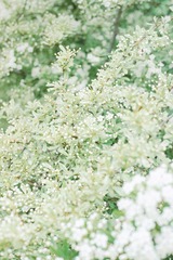 EF339012-5AF4-449F-8396-A20D91003A14/L0/001