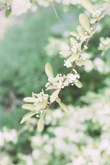 3EF3AF2C-05B6-45BC-A9A2-97C6E05ECD2F/L0/001