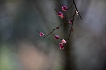 3C064FCE-578E-4803-AE9C-DDCA5086CEF8/L0/001