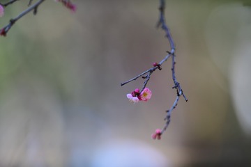 48DFEF1F-7B6F-461E-BB78-82E8BB780303/L0/001