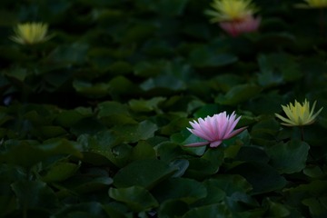 9CE34DD7-FE52-4FBE-9B06-8AE42B1B7E02/L0/001