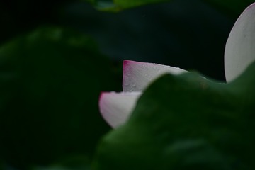 79C02316-2872-4EDF-9FB9-D5050D436793/L0/001