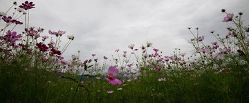 2EB9BF87-DF54-45A2-AC82-AA1B6387D240/L0/001