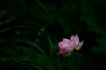 EB327206-733E-4522-AEAB-6B61F895A0C2/L0/001