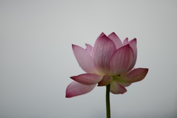 6B942172-9BB1-4DE1-9512-8D12926B9CA5/L0/001
