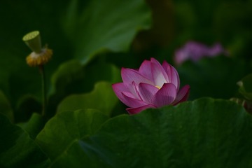 96407D5C-BE85-45B4-8222-D8938B9C3D60/L0/001