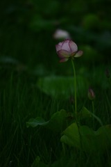 B25DF4AB-71A7-4F0D-9EFD-46A032CD13C7/L0/001
