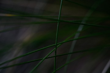 C33F8479-4B25-4414-9E7D-677CEC0A746B/L0/001