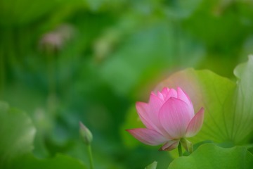 99DD78A2-DD6F-4C63-8190-EA703D419EF5/L0/001