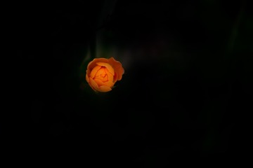 BB9F5C24-6B45-4292-96C0-161E67CD3FEE/L0/001
