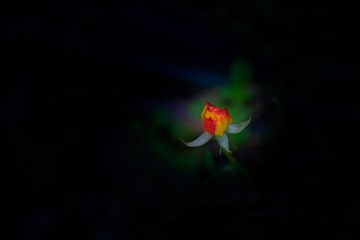 41B7B648-3E19-454F-B0FD-FBD441A0C47B/L0/001