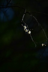 E008B1FE-A550-437B-A819-E524CA3AA38C/L0/001