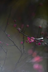 65753F26-8BEA-4F07-B9B7-3675DC157788/L0/001