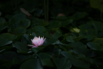 27C1E914-F8C5-483A-BFE4-7CCEA2257FF9/L0/001