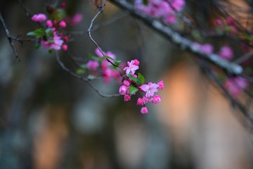 1EDBCA18-C1FE-4A92-A8AB-DA8634338138/L0/001