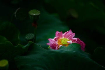 36566D31-FAA2-4499-9B52-F98F72AB80A8/L0/001