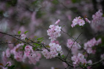 4C7AFF2E-33EE-47F9-9B59-9E2BA0C76124/L0/001