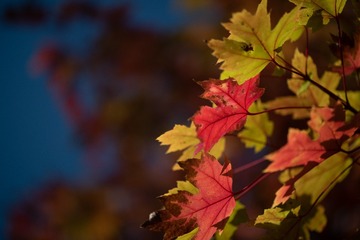 D701B6F9-6256-42EB-AEA7-BBF58A01A9BE/L0/001