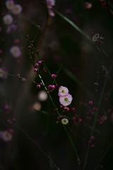 EB1450EC-3051-45EB-9180-5B17856A7E1C/L0/001