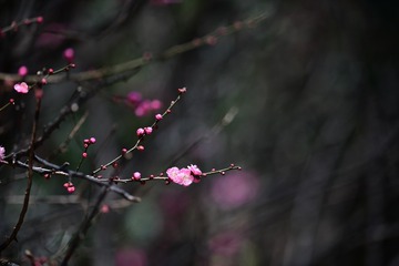 E8C58E1A-E279-4C1C-A1AD-E708204B3557/L0/001