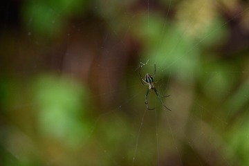 07C573DA-B07E-4768-92B9-1F00405AECA4/L0/001