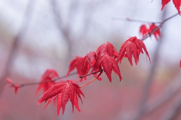 74476F66-0816-4724-A6B7-1C6FA76BC12D/L0/001