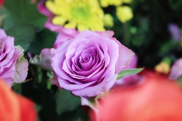 95BDC9F0-9443-40DB-8B94-9B4880162876/L0/001