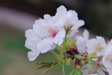 7FD76F75-D963-4E85-89C8-11E7688A2F0D/L0/001