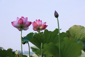 BC6C89EC-C4E0-47CF-9F0D-E8E59E98D77F/L0/001