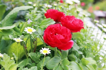 E986BA8E-39C3-4C90-90A2-9E7AC4398856/L0/001