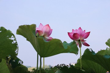 8B3FF077-B776-4F02-A66E-BEB8752932B1/L0/001