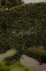 409BBFFA-3B92-41B5-8DA9-06B12F11ED3C/L0/001