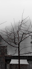 7C6C6696-05B8-49E0-922B-AC3414F6CF8E/L0/001