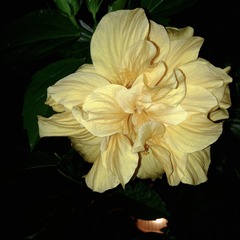 0F4CB91C-7E74-4140-B08C-4CE59FDAFF3D/L0/001