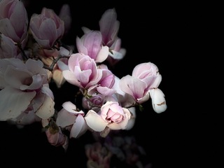 F0593F62-6C3B-4C62-8CC5-B557142C51AD/L0/001
