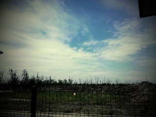 C360_2011-05-09 10-03-52